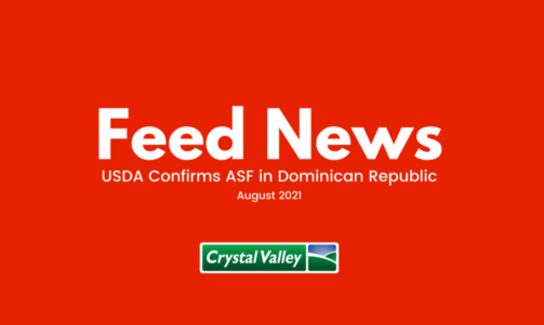 Blog Header 5